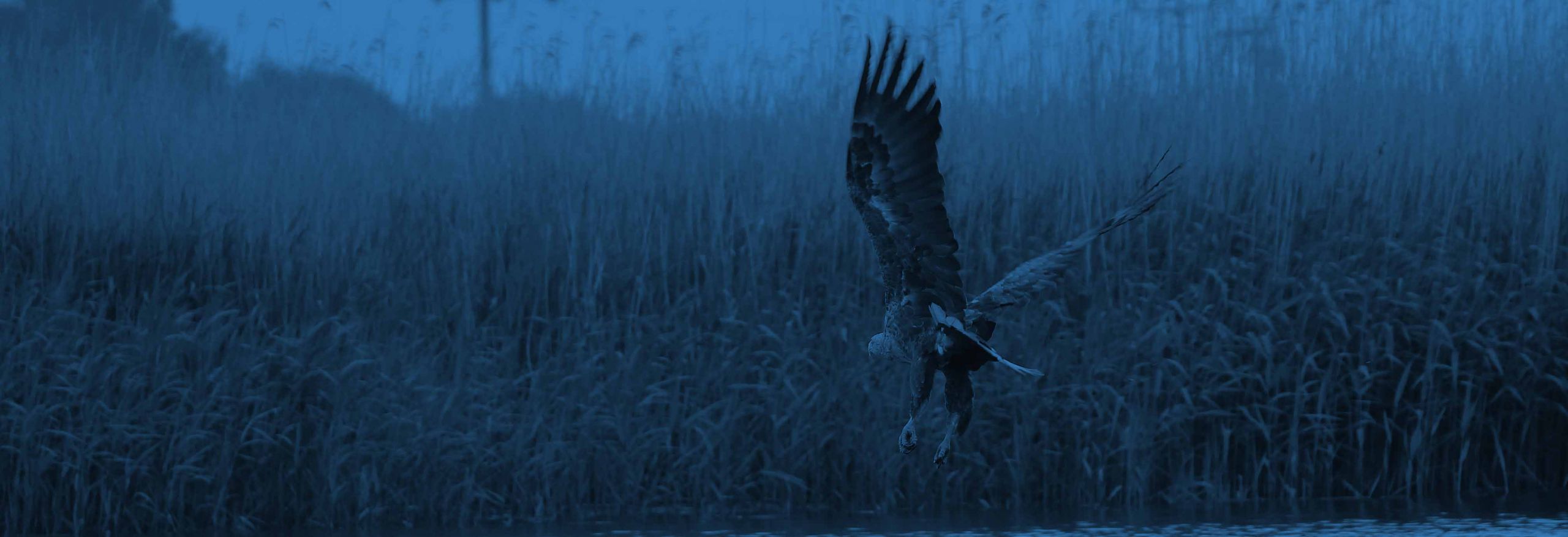 Adlertour Waterkahnt